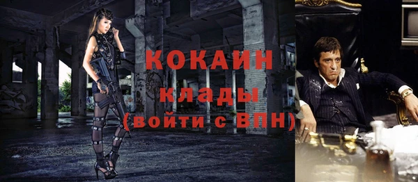 мдпв Сосновка