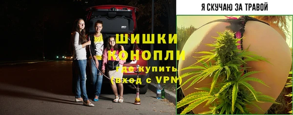 СК Верхний Тагил