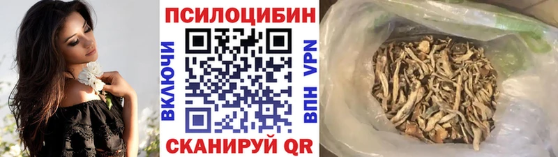 Галлюциногенные грибы Psilocybine cubensis  Медногорск 